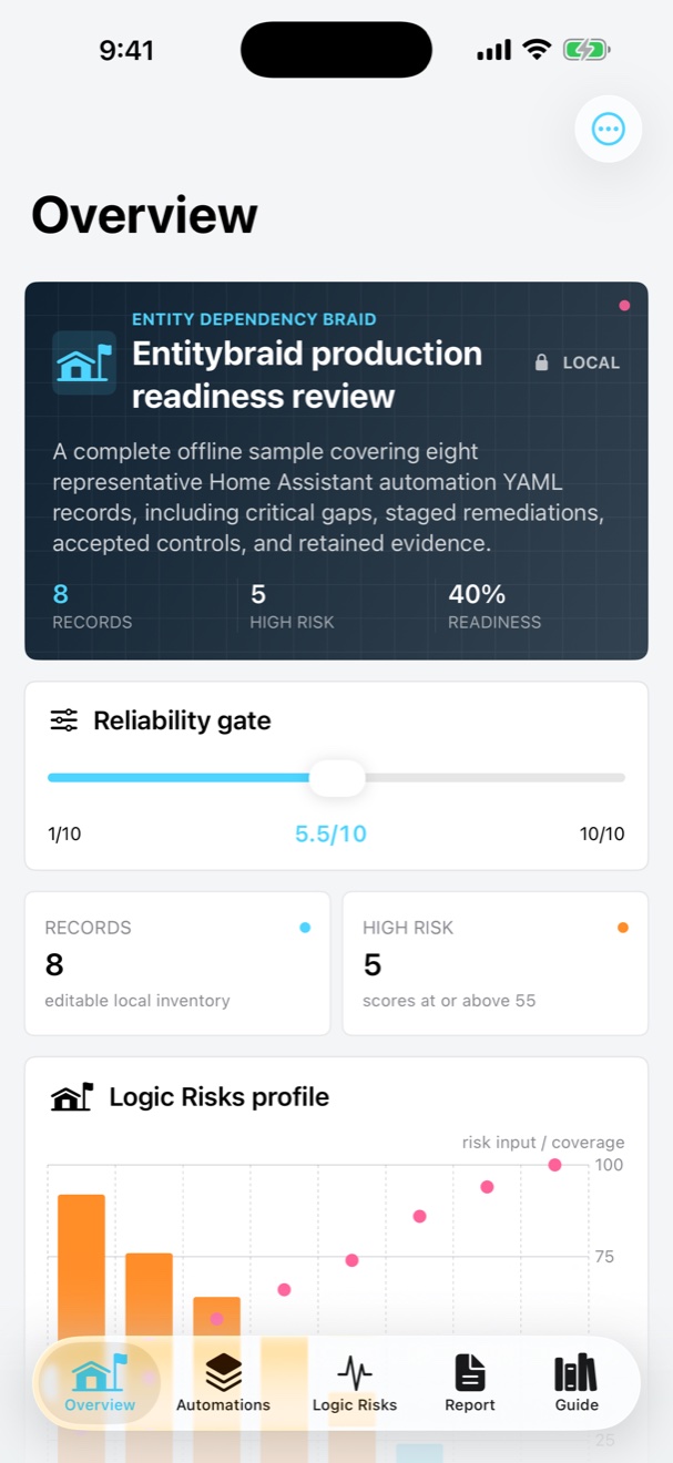 Entitybraid: Automation Audit screenshot 1